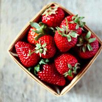 全世界美女帥哥的收容所